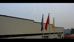 4.gif